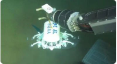 小型机器人漫步万米深海