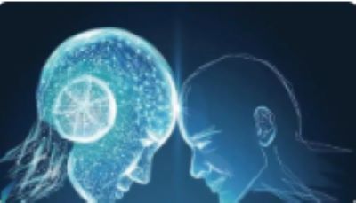 人脑优于人工智能的关键机制揭示