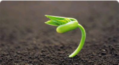 市场最前沿&middot;中央一号文件|&ldquo;新农具&rdquo;有新机遇！ 无人机、机器人首次写入中央一号文件